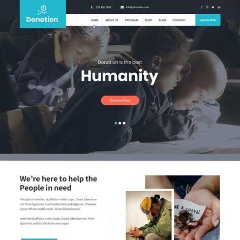 Donation-WordPress-theme-new