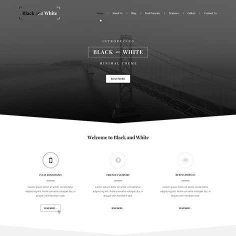 black-white-wordpress-theme1