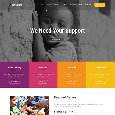 fundraising-wordpress-theme1