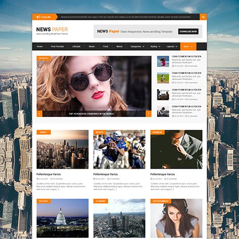 newspaper-wordpress-theme1